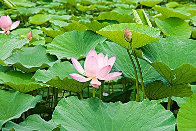 R-Type系列新作截图公布 2023年正式发售